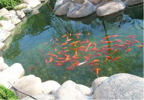 水處理行業(yè)