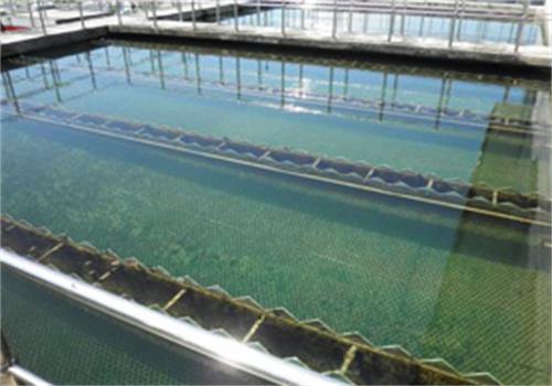 廢水處理絮凝劑沉淀池