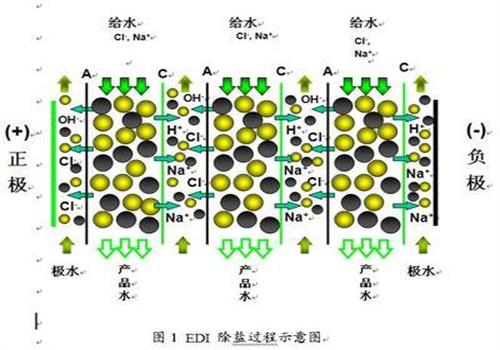 edi純水設(shè)備的工作原理