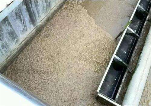 廢水處理污泥膨脹