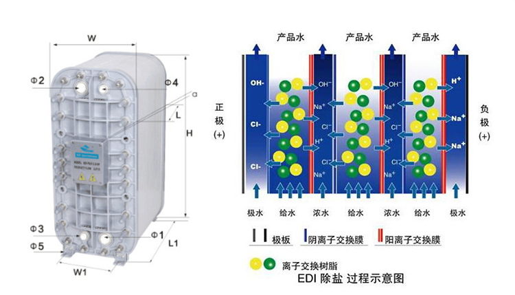 電子超純水設(shè)備技術(shù)原理 電子超純水設(shè)備技術(shù)原理